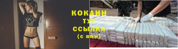 гидра Кукмор