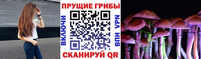 что такое наркотик  Нестеровская  Псилоцибиновые грибы ЛСД 